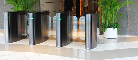 Optical Turnstile with Plant.jpg
